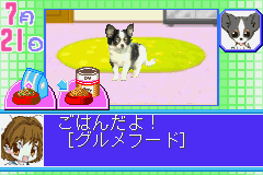 Koinu to Issho 2 (Japan) Cover